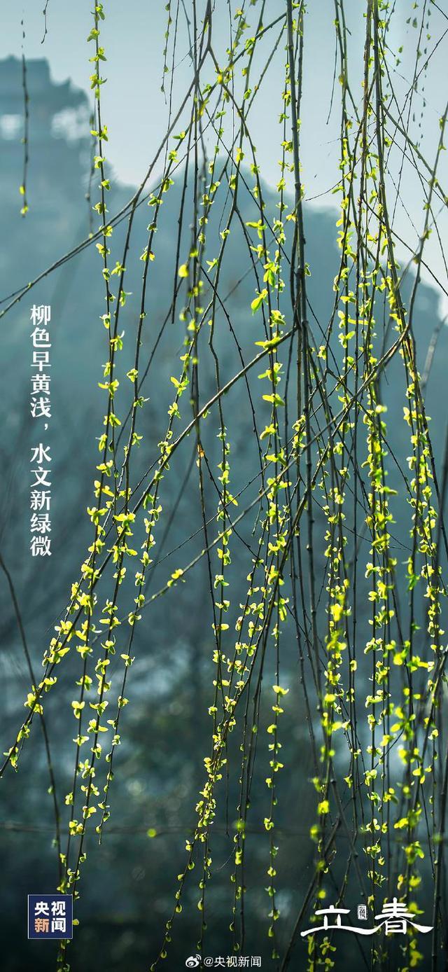 兔年的第二个立春来了大地回暖渐渐苏醒迎接春天