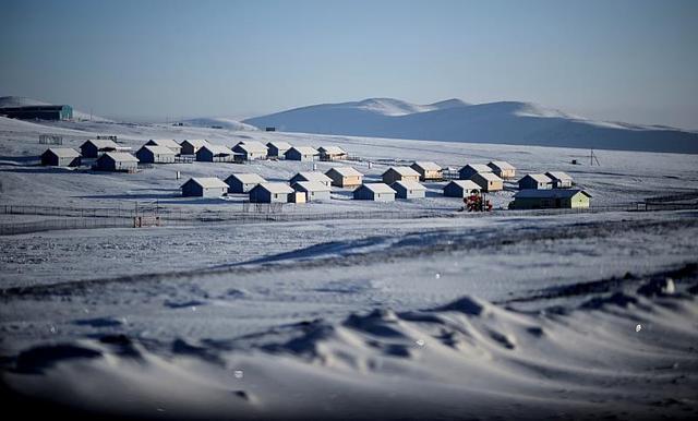 极寒、冰雪天气已致50多万头牲畜死亡，蒙古国进入防灾高度戒备状态