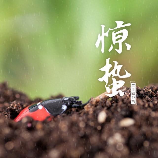 “惊蛰雨淋头，农民一年闲” 有啥说法？惊蛰下雨是什么兆头？