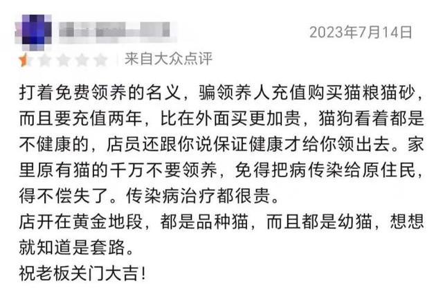 免费领养猫的真相或是贷款买猫分期付款购买宠物