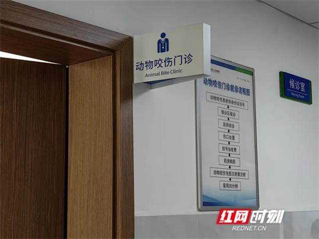 13岁男孩遭自家狗撕咬近百处伤口 被动物咬伤后尽快做这三件事