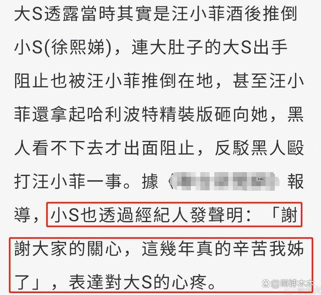 大S是会气人的！大S发具俊晔孩子合照给汪小菲