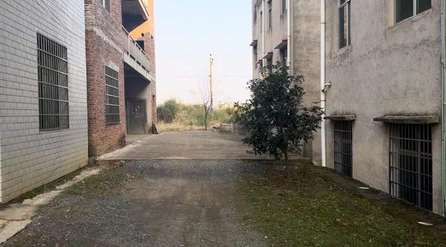 乡村小学校长侵害5名未成年女生控制欺骗沉默