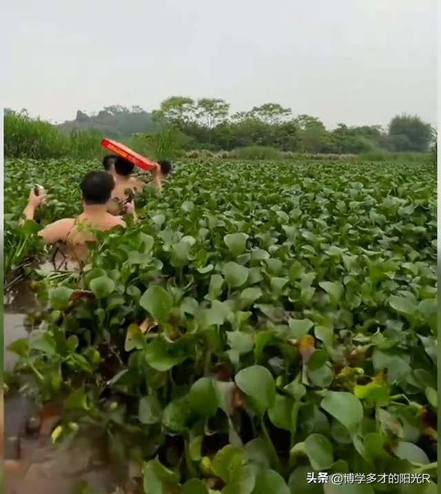 华南F3祭祖堪比特种兵拉练 跋山涉水过独木桥无所不能