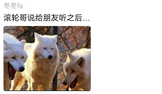 男子在健身房练滚轮被陌生人开走，网友要笑疯了
