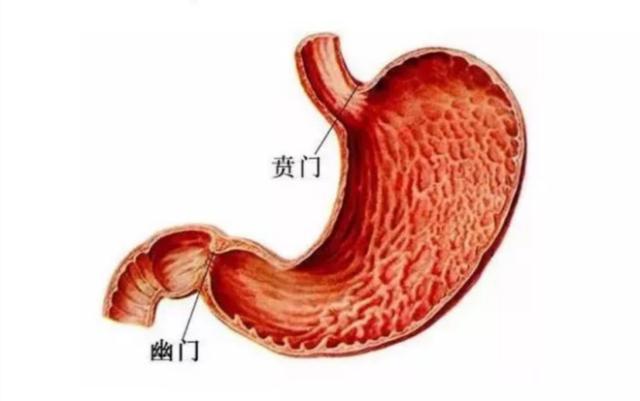 男子患病吃饭只能咽下一粒米 罕见病症困扰生活