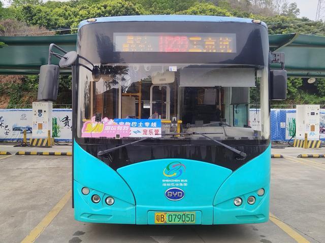 深圳首辆宠物友好巴士试开通
