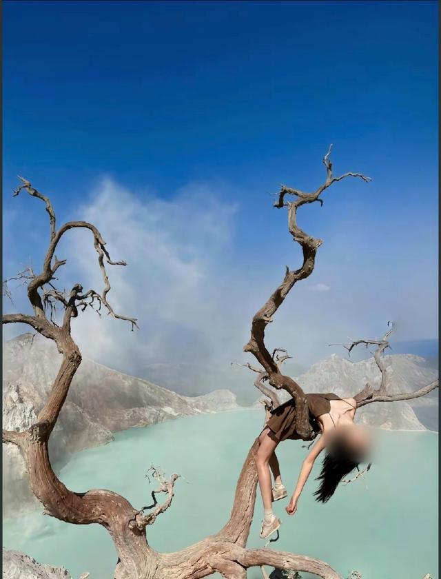 中国女游客坠亡峡谷下方是硫酸湖，网红树缘何成夺命隐患？