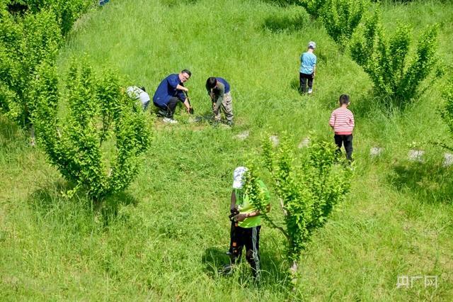 考古工地一不小心潮成度假胜地 公众开放日引热潮