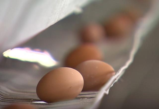 蛋价跌入3年最低谷！背后是何原因？养鸡户逆市扩建百万鸡场