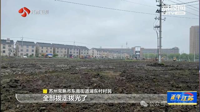 “公园建成不到五个月就被拆”敲响决策警示钟