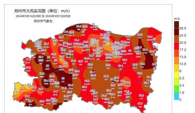 郑州的风有多大 局地阵风11级不少大树被连根拔起