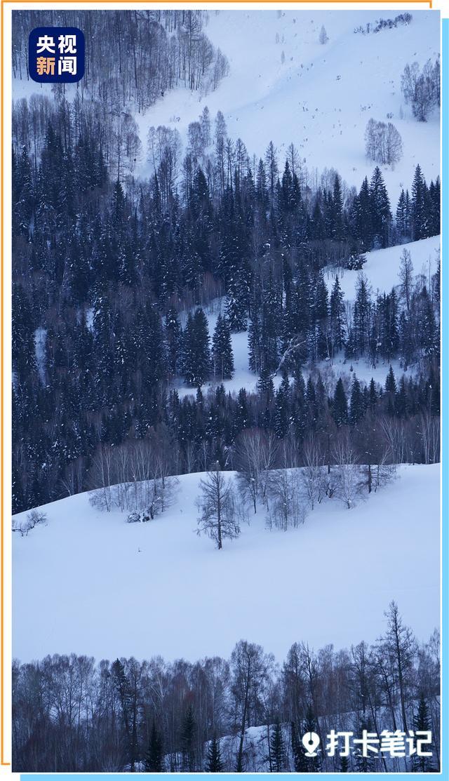 《我的阿勒泰》后劲太大了 雪山森林牛羊跃然而出