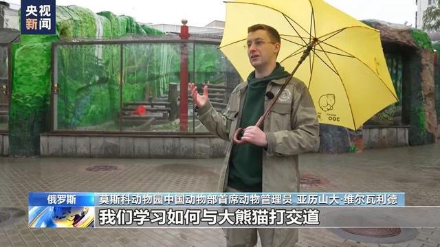 大熊猫抵达俄罗斯图片