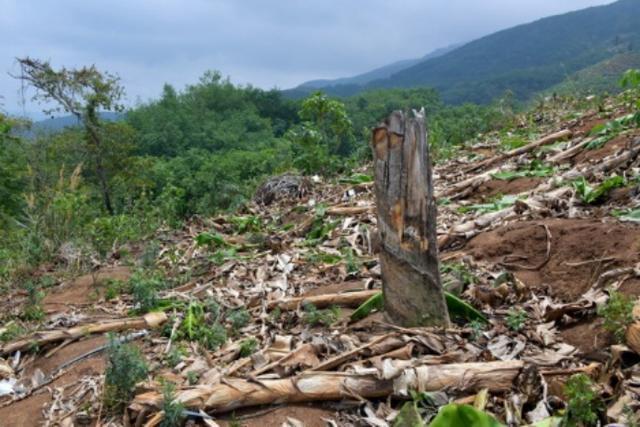 中央生态环保督察通报典型案例 多地违规破坏生态遭曝光