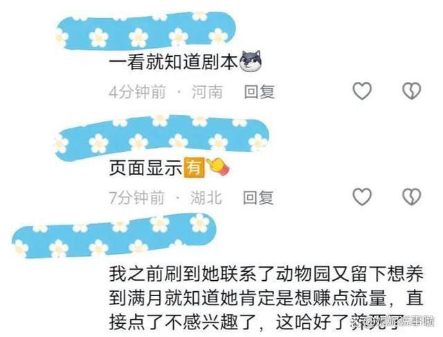 博主捡到“黄鼠狼幼崽”后续 情感与责任的纠葛