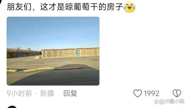 男子沙漠发现遗迹 网友：那是墓！