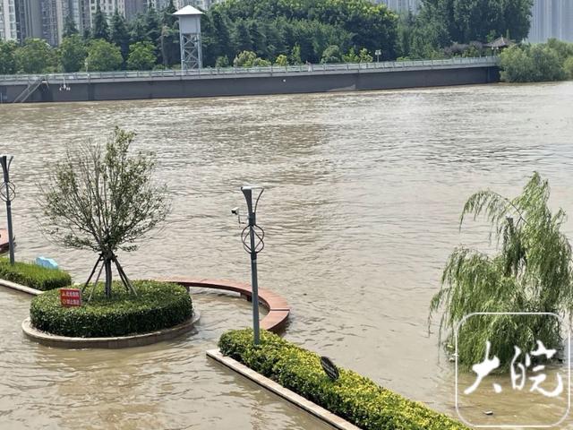 芜湖网红雕塑“一家三口”被淹