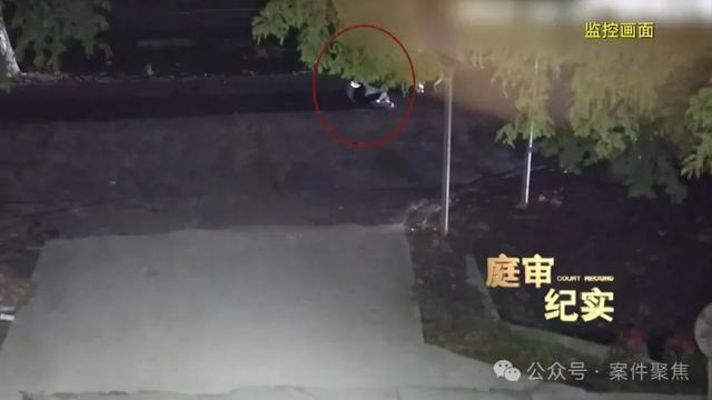 女子醉卧马路被轧身亡 送人者认定无责