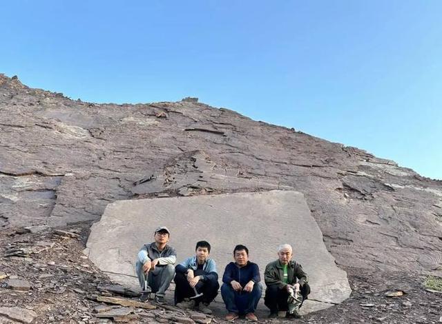 浙江新疆发现失散4亿多年的古鱼兄弟 板块漂移的古生物证据