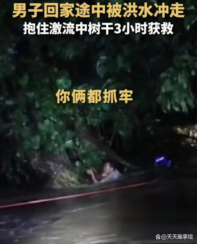 男子被困洪水中抱树求生 3小时惊险守望终获救