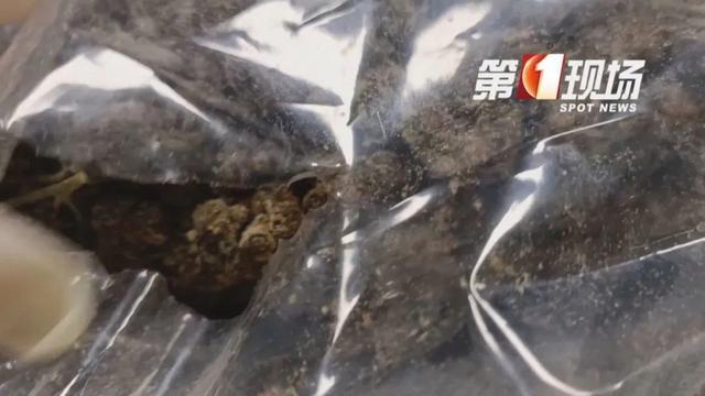 超23斤毒品被编进地毯！深圳海关用牙签破案