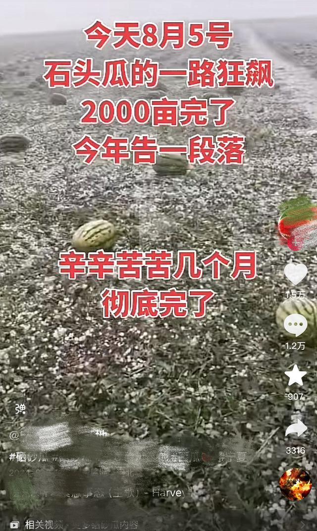 宁夏中卫冰雹致瓜农损失惨重