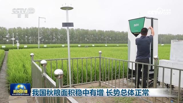 秋粮面积稳中有增 长势总体正常 各地多措并举保丰收