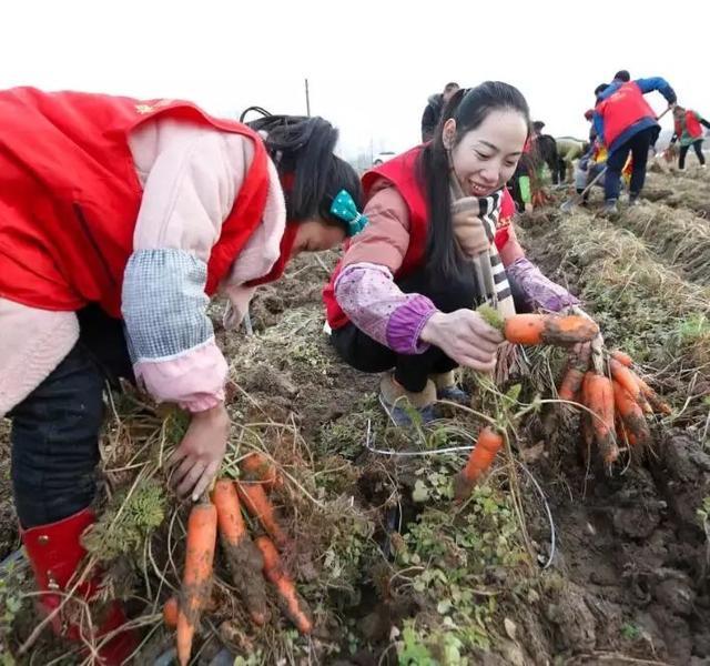 中专生因实习压力过大自杀?校方回应 悲剧背后真相待揭