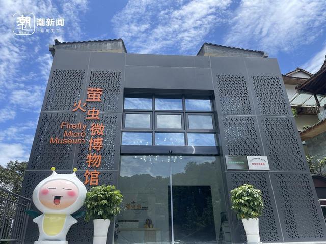 专家认为浙江和四川等地是萤火虫较适宜的栖息地