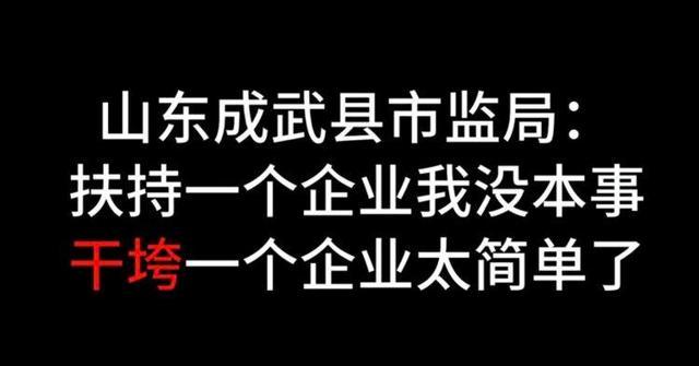 执法人员称干垮企业太简单后续