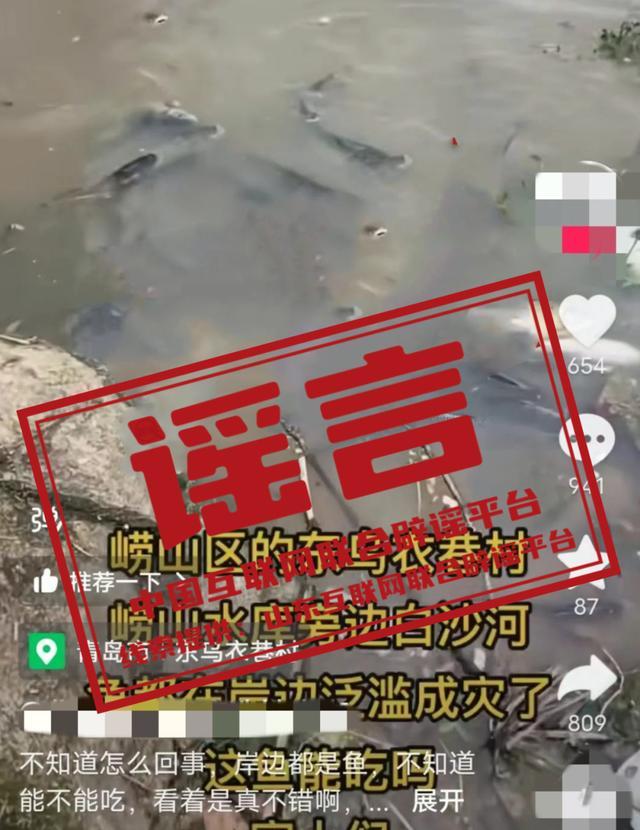 青岛崂山水库鱼类漂浮成灾？不实