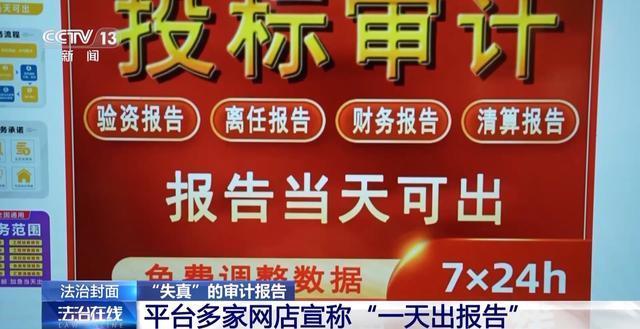 多家网店承诺可以凭空做出审计报告