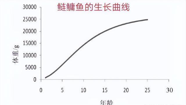 男子捕到87斤鳙鱼 已经想好怎么吃 钓友抉择引热议