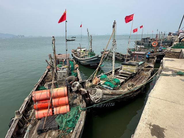 青岛开海 海鲜价格如何 鲜活海鲜海量上市，价格亲民！