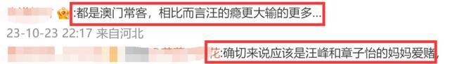 卓伟曝汪峰曾出轨？章子怡董璇马伊琍那么美，丈夫们为何仍“犯错”？