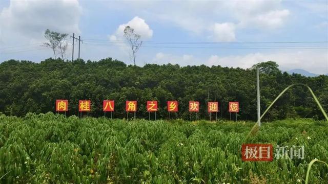 💰欢迎进入🎲官方正版✅广西5死命案：男孩藏衣架下躲过追杀，嫌犯畏罪自杀