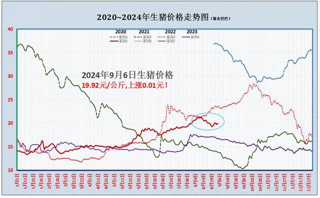 行情突变！猪价上涨“大厦将倾”！短期震荡加剧