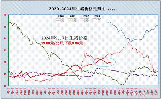 压不住 猪价下跌“一日游”！市场心态分歧加剧