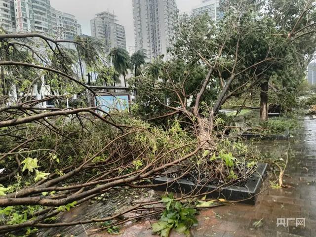 摩羯掀飞海景房小区近百户玻璃窗 狂风威力惊人