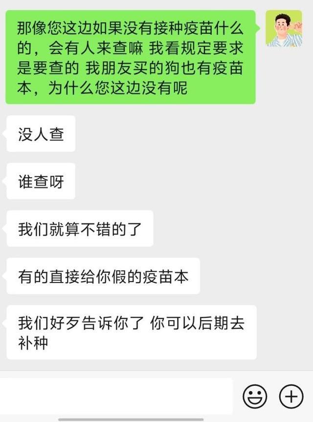 网上买宠物想不踩坑太难了 宠物健康无保障