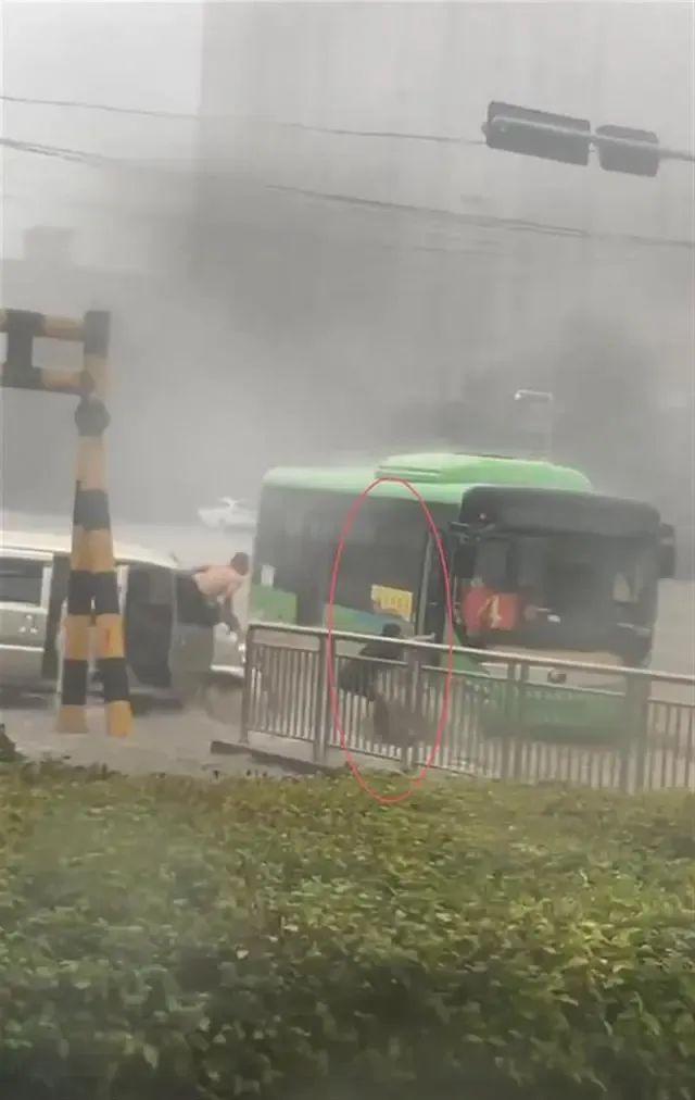 公交车女司机谈暴雨救人：3次抱树