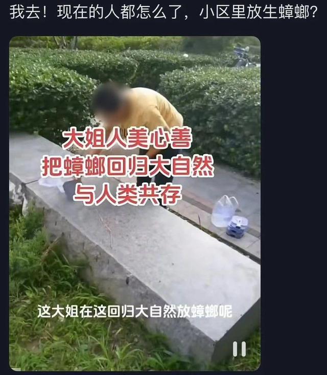 无序放生变杀生怎么解 生态平衡亟待维护