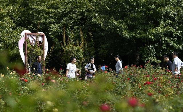 郑州秋意渐浓，植物园人潮如织