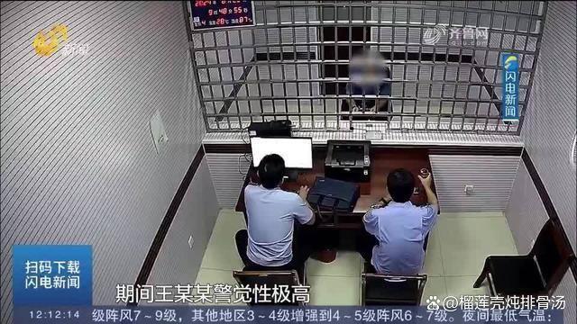 男子5年开车碰瓷近200次 骗保高手终落网