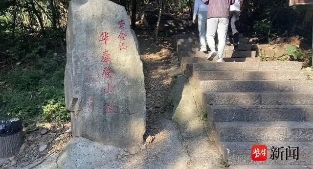 “陪爬”紫金山，在南京大学生中火了