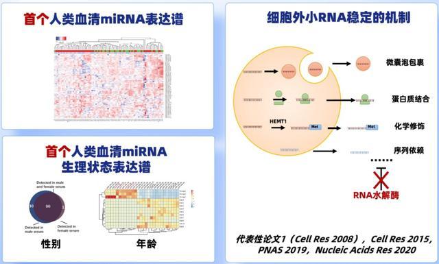 南大教授揭秘微RNA背后的生命奥秘 疾病治疗新曙光