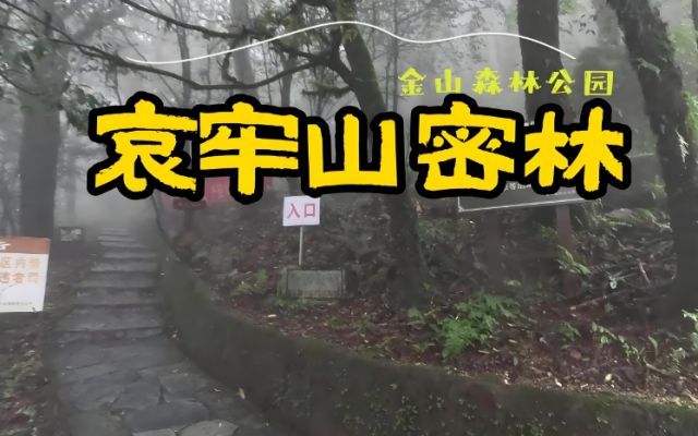 哀牢山是中国百慕大吗