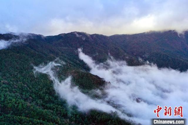 揭开哀牢山神秘面纱