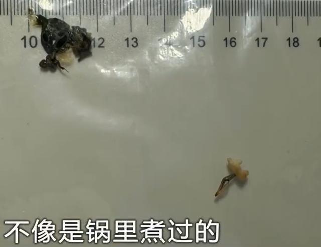 3人故意吃虫子让火锅店赔1500 敲诈团伙终落网